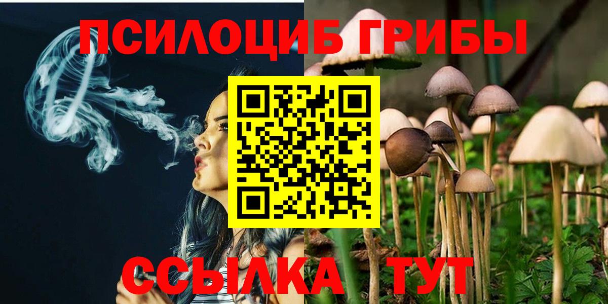 Электросталь  Псилоцибиновые грибы мицелий  закладки  Вход с VPN  Галлюциногенные грибы мицелий 