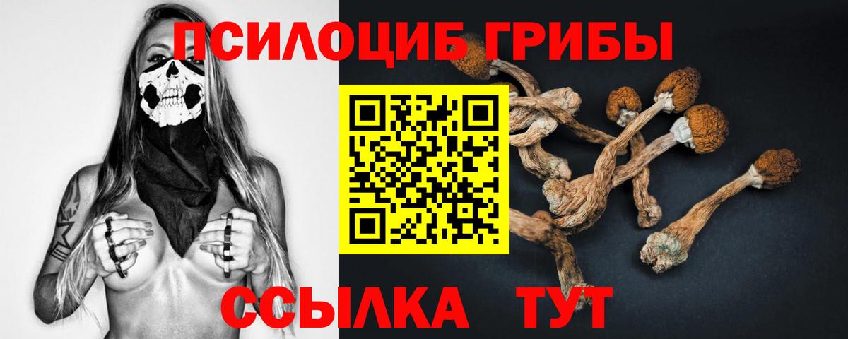 Галлюциногенные грибы MAGIC MUSHROOMS Электросталь